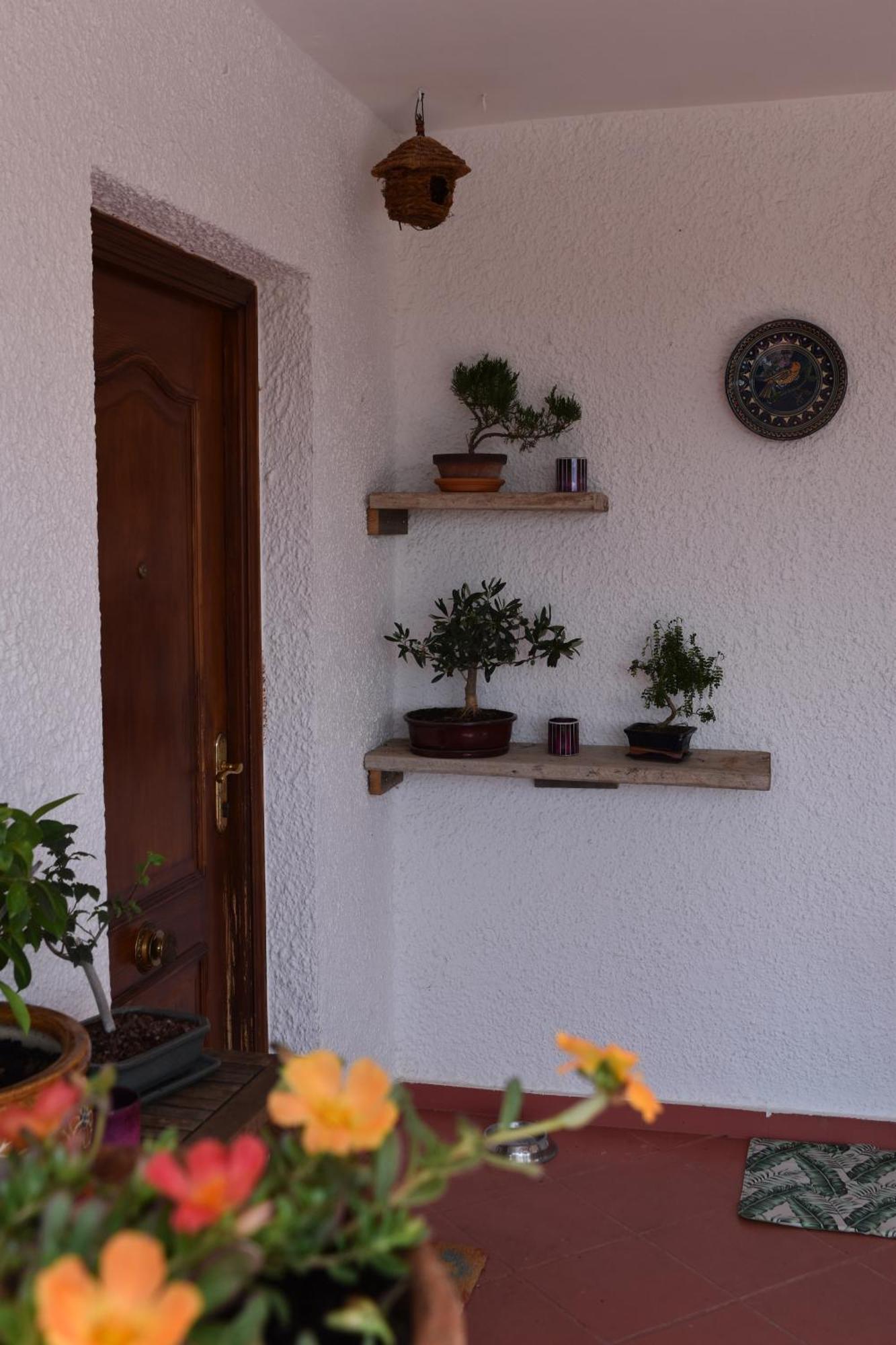 Casa Loro Loco B&B Pedralba Экстерьер фото
